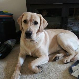 Meet your Posher, Pam